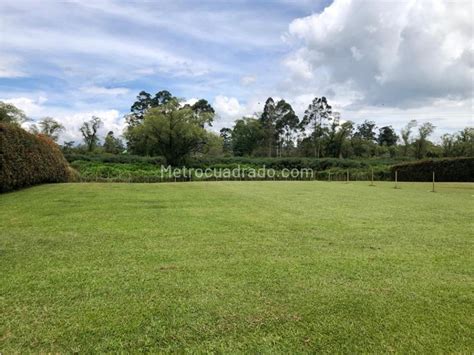 Venta De Lote O Casalote En El Tablazo Rionegro M