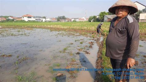 Atasi Kekeringan Lahan Pertanian Perum Jasa Tirta Ii Sudah Tambah