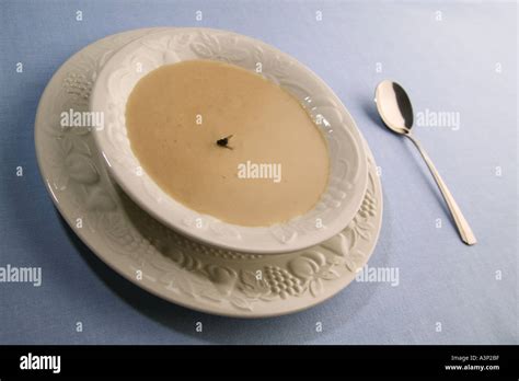 Fly In Soup Stock Photo Alamy