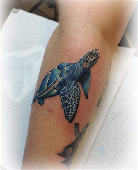 Small Simple Turtle Tattoo Designs Page Of Petpress | Hot Sex Picture