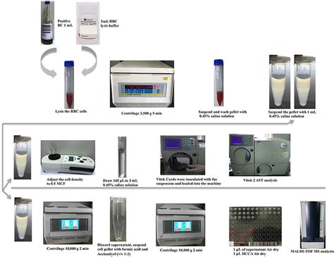 Frontiers Simple Sample Preparation Method For Direct Microbial