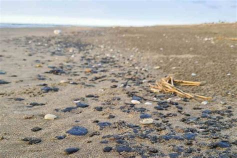 Derrame De Petr Leo En Campeche Afecta Playas De Veracruz Y Tabasco