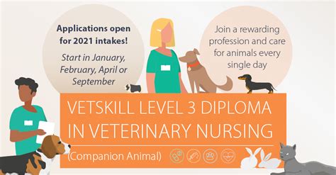 Vetskill Level Diploma In Veterinary Nursing Caw