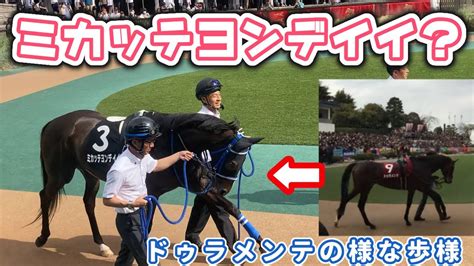 ドゥラメンテの様な歩き方をするミカッテヨンデイイ🐎【2024 622 東京競馬場 江ノ島s】 ドゥラメンテ ミカッテヨンデイイ 東京