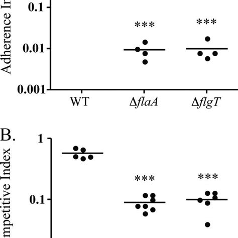 Flgt Is Essential For Motility And Flagellar Stability A Zones Of