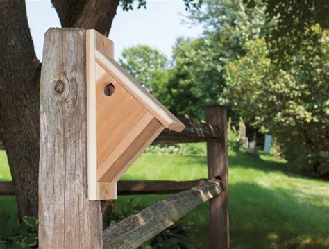 Make a Chickadee Nesting Box (Free Plans) | Empress of Dirt