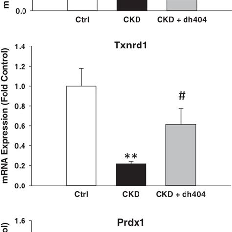 Messenger Rna Expression Of Peroxiredoxin Prdx Thioredoxin