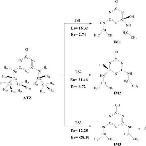 Oh Radical Addition Pathways And Cl Atom Substitution Pathway In