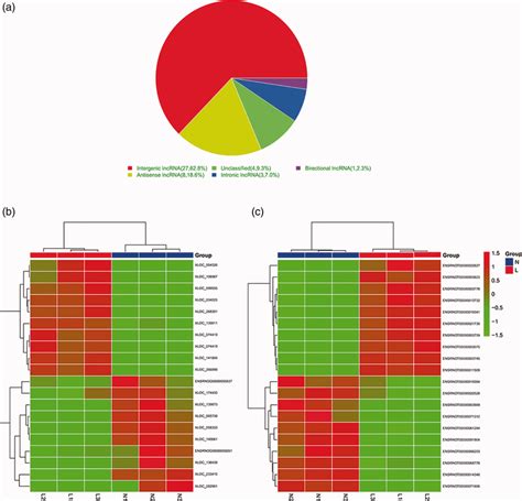 Distribution Of Deregulated Long Non‐coding Rnas Lncrnas And Heatmaps