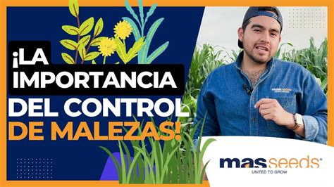 MALEZAS Por qué es IMPORTANTE tener un buen CONTROL de MALEZAS