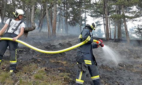 Waldbrände im südlichen Niederösterreich und in Kärnten DiePresse