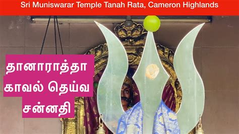 Sri Muniswarar Alayam Tanah Rata Youtube