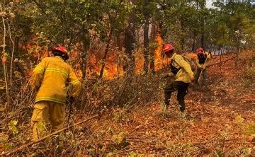 Alerta Atmosférica Jalisco activa por incendios forestales