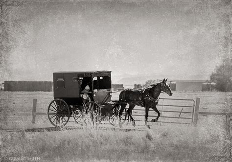 Amish horse-drawn buggy, Monte Vista, Colorado.