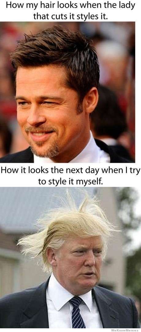 16 Donald Trump Hair Memes So Funny You’ll Actually Be Grateful He’s ...