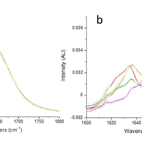 Curve Fitted Amide I And II Regions In A FTIR And B FT Raman