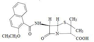 CH 12 Microbiology Flashcards | Quizlet