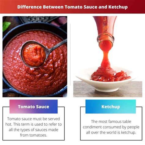 Tomato Sauce Vs Ketchup Difference And Comparison