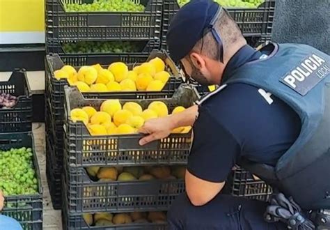 Investigado Un Clan Familiar Por Robar Kilos De Fruta En