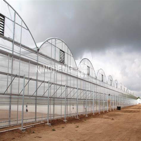 Hydroponic Tunnel Polycarbonate Sheet Pc Venlo Multi Span Agricultural