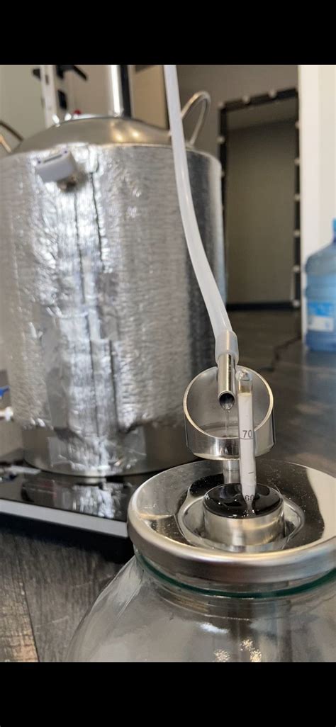 Попугай самогонный на банку купить по цене 1290 ₽ в магазине Колба