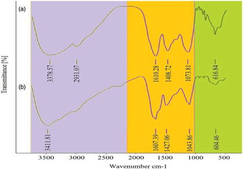 FT IR Spectrum Peaks Of Leaf Extract A And Fe 3 O 4 NPs B