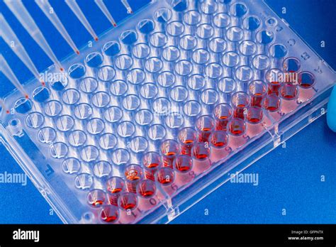 Placa De Pocillos Para Pcr Procesamiento De Laboratorio