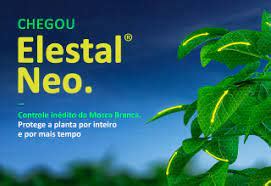 Syngenta Anuncia O Registro De Elestal Neo Um Inseticida Inovador