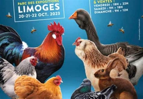 Palmares Exposition Avicole Limoges Syndicat Limousin Avicole Et