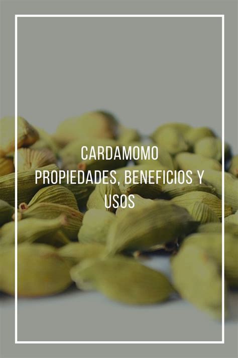 Cardamomo Beneficios Usos Y Propiedades Medicinales