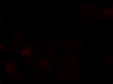 Wife Gives Friend Blowjob Krystybbc XVIDEOS