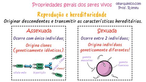 Considere As Seguintes Caracteristicas Atribuidas Aos Seres Vivos