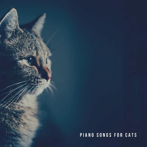 Piano Songs For Cats Album By Relaxing Piano For Pets Spotify