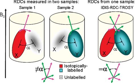 Simultaneous Measurement Of Residual Dipolar Couplings For Proteins In