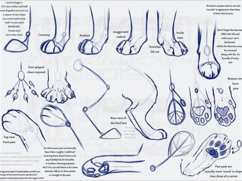 Cat Paw Drawing At Explore Collection Of Cat Paw Drawing