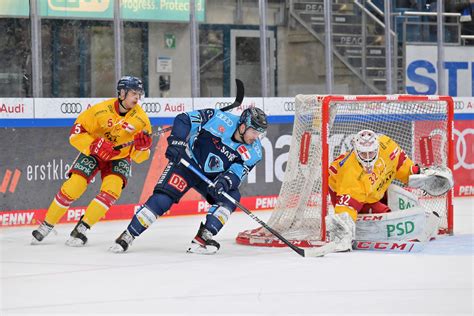 Erc Trifft Im Viertelfinale Auf D Sseldorf Profis Erc Ingolstadt