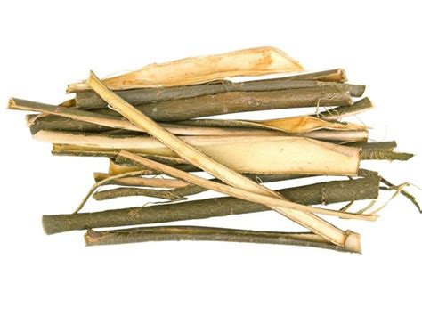 8 Impressive Benefits Of Willow Bark Organic Facts