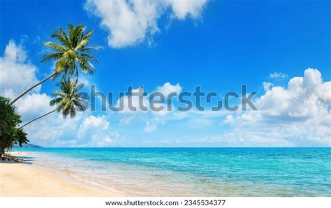 Tropical Island Paradise Sea Beach Beautiful Shutterstock