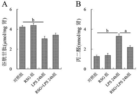 罗格列酮对细菌脂多糖诱发小鼠肾脏氧化应激的抑制效应