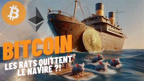 Bitcoin Les Rats Quittent Le Navire Analyse Du Youtube