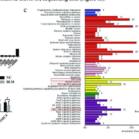 Identification Of Differentially Expressed Mrnas A Mrna Length Download Scientific Diagram