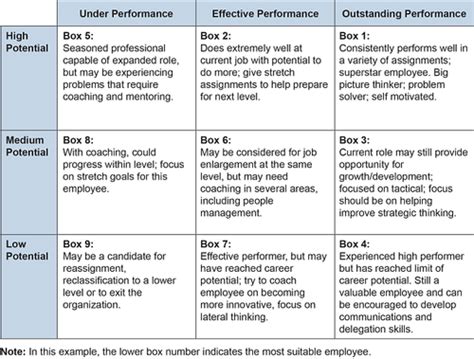 Organization Workforce Management Flashcards Quizlet