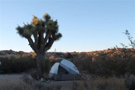 Guide To Camping In Californias Stunning Desert Landscapes