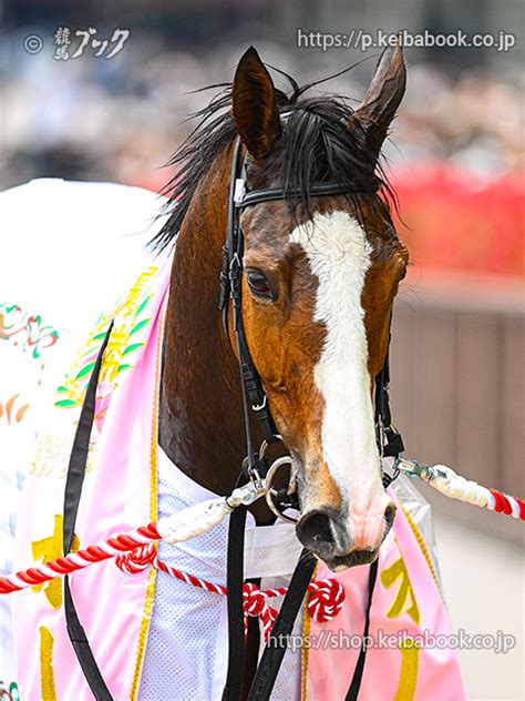 競馬ブックネットshop カラープリントアルミ枠付き2024年5月19日東京11r オークス顔チェルヴィニア