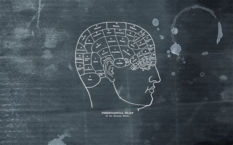 Brain Wallpaper HD (67+ images)