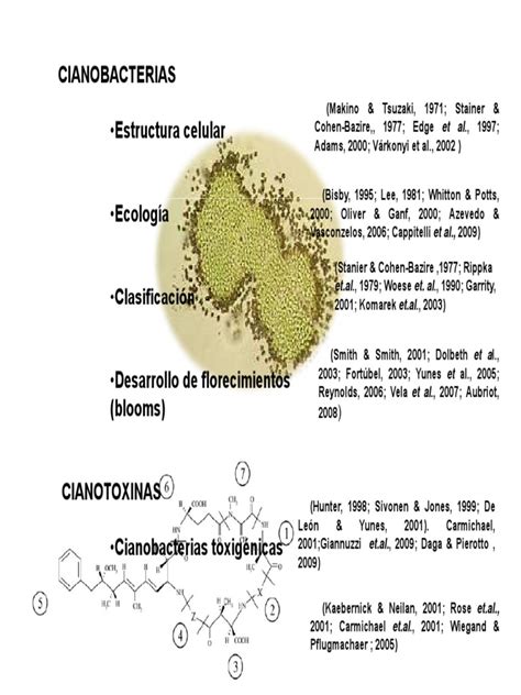 Cianobacterias Cianobacterias Biología Celular