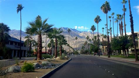 Palm Canyon Drive Palm Springs Palm Canyon Drive Yorumları Tripadvisor