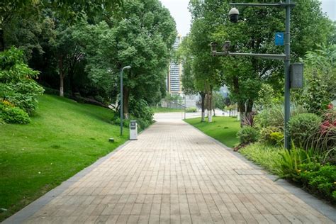 Premium Photo Park Avenue