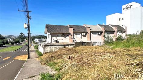 Falta de limpeza em terrenos baldios gera indignação de moradores do