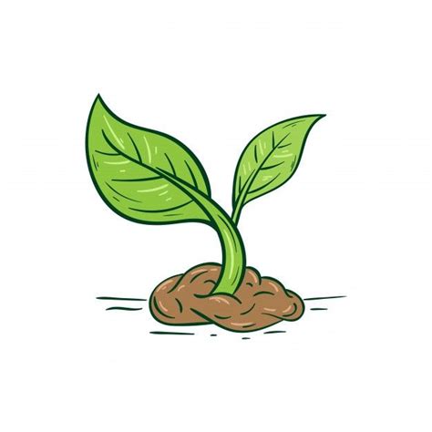 Growing Tree Clipart Vector The Tree That Grows From Seed Is A Big Tree